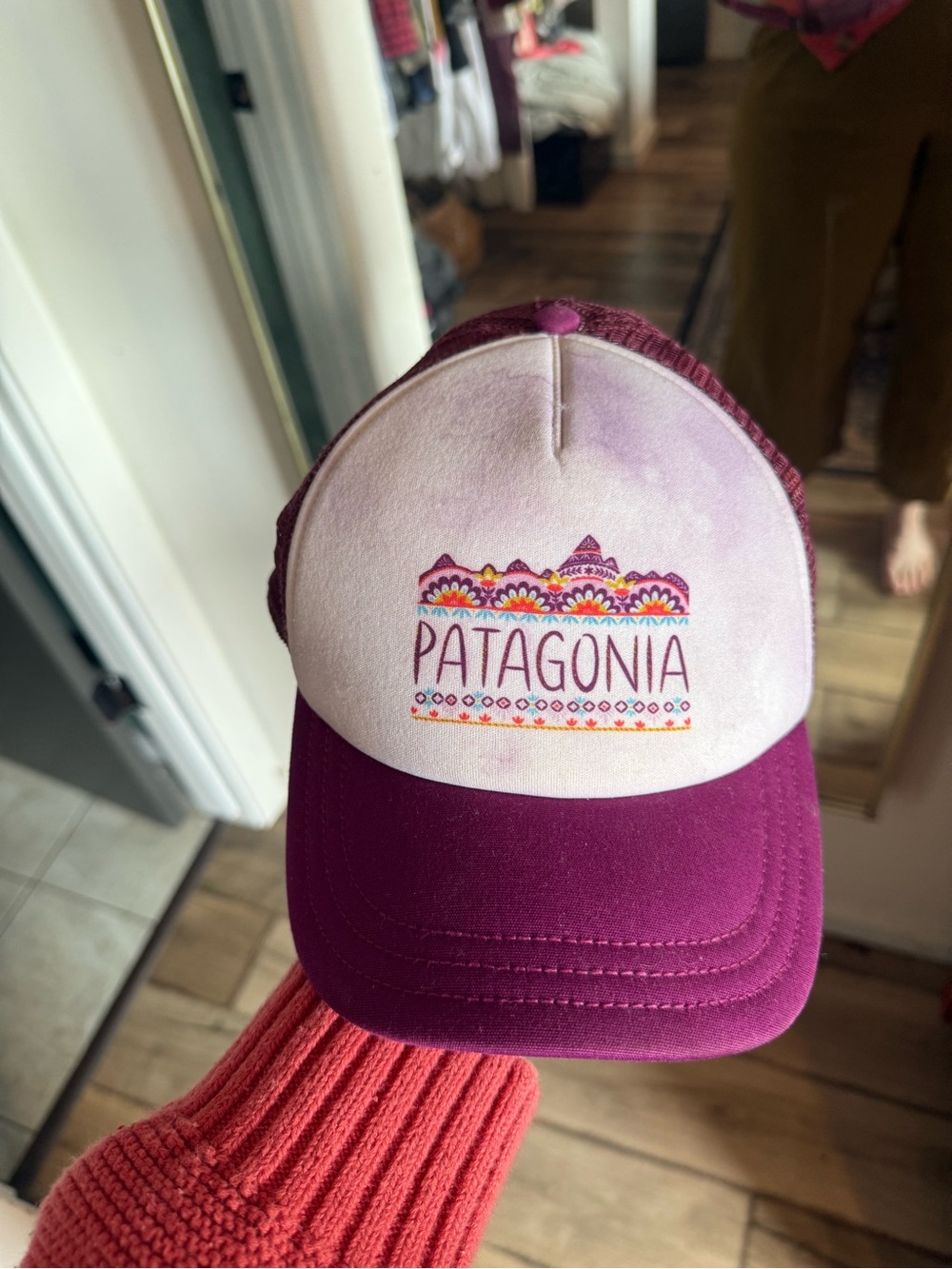 Patagonia Ball Cap